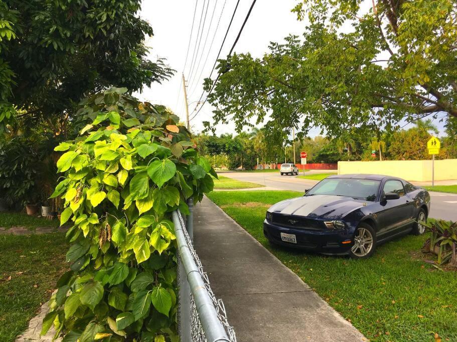 Miami Bungalow Oasis Near Everglades & The Keys Cutler Bay Kültér fotó