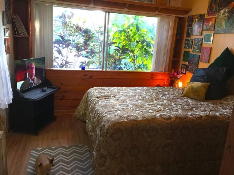 Miami Bungalow Oasis Near Everglades & The Keys Cutler Bay Kültér fotó