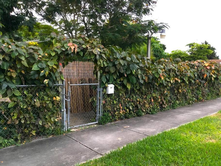 Miami Bungalow Oasis Near Everglades & The Keys Cutler Bay Kültér fotó