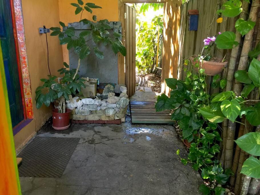 Miami Bungalow Oasis Near Everglades & The Keys Cutler Bay Kültér fotó